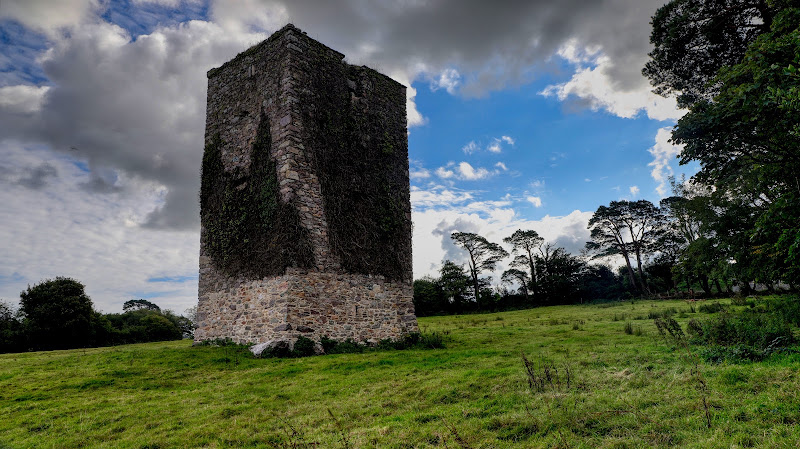 Barntown Castle Wexford