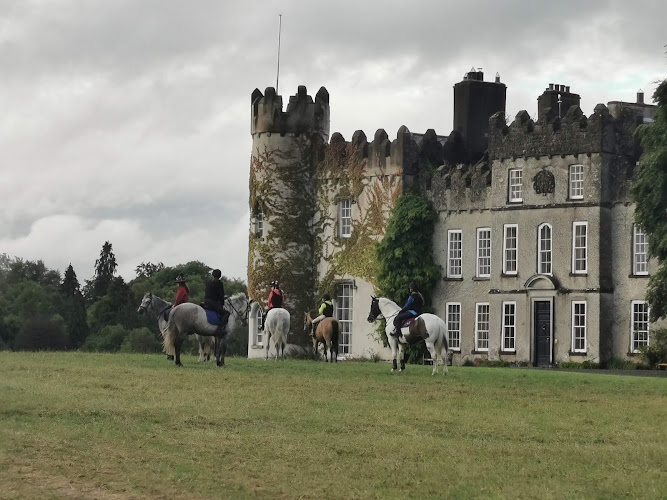 Ballinlough Castle