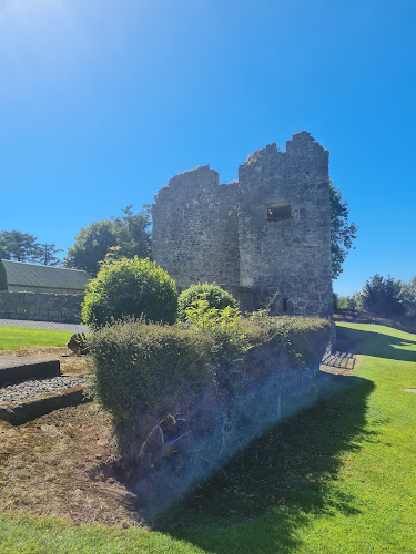 Crevenish Castle