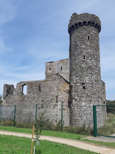 Fethard Castle