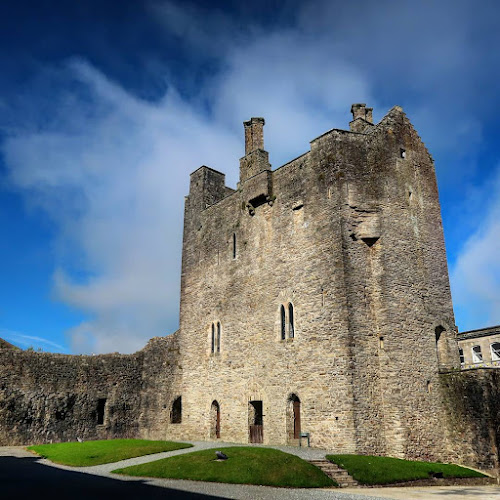 Roscrea Castle