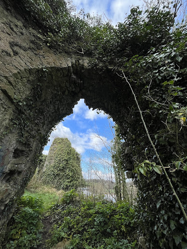 Castleconnell Castle