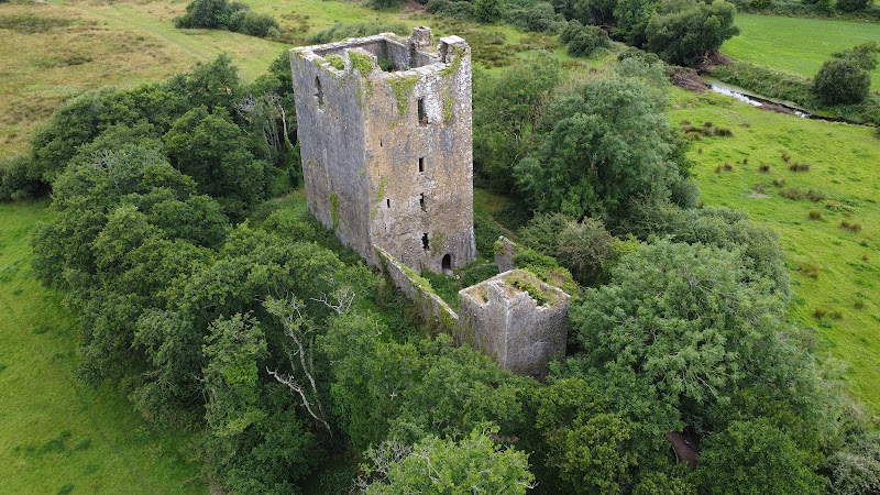 Kilcrea Castle(Caisleán Chill Chré)