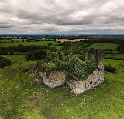 Carbury Castle and Motte