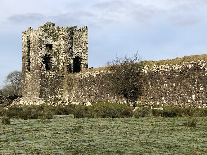Moygara Castle