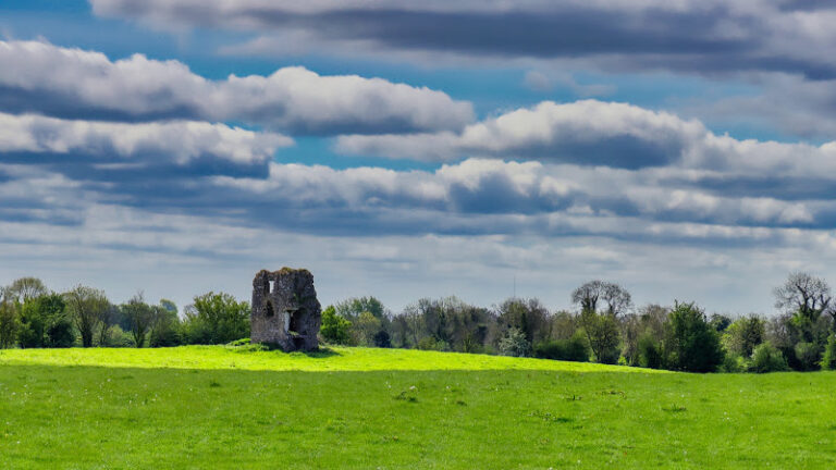 Dervotstown Castle