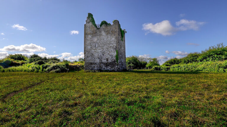 Coole Castle