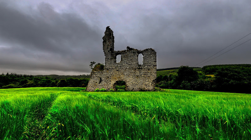 Rathnageeragh Castle Ruin Co Carlow