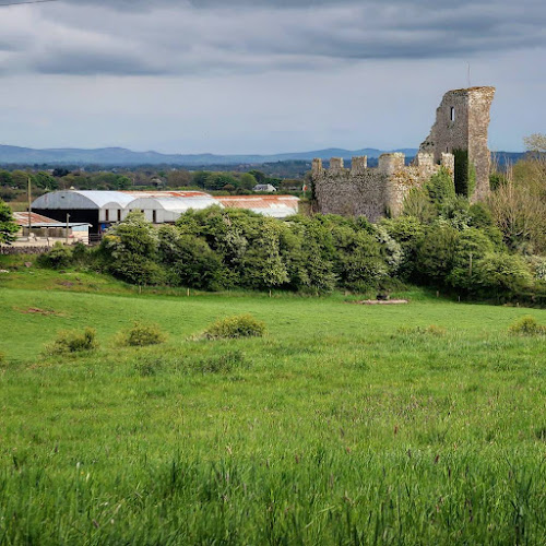 Cappagh Castle