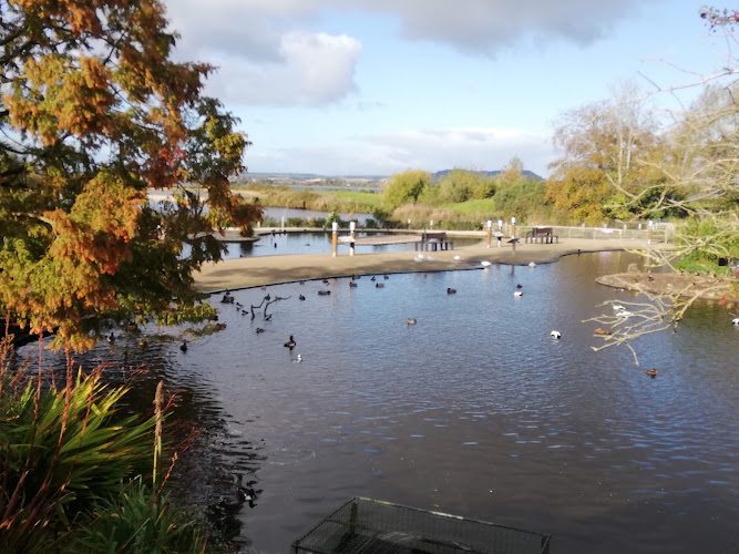 WWT Castle Espie