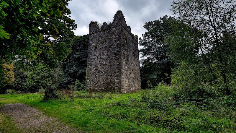 Rathlannan Castle Co Wexford