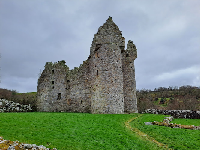 Monea Castle (State Care Monument)