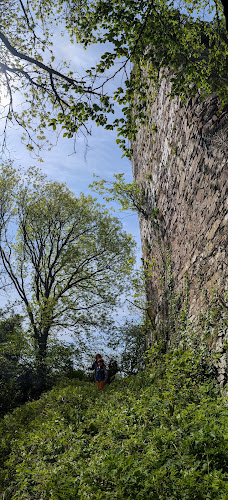 Castle Cooke