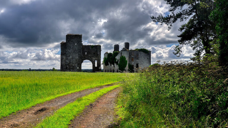 Rathcoffey Castle