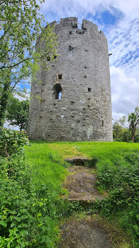 Lough Oughter Castle Island