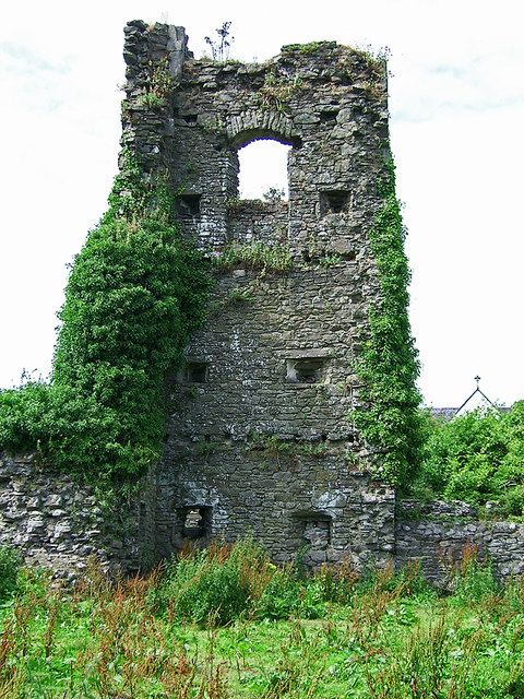 Ballinakill Castle