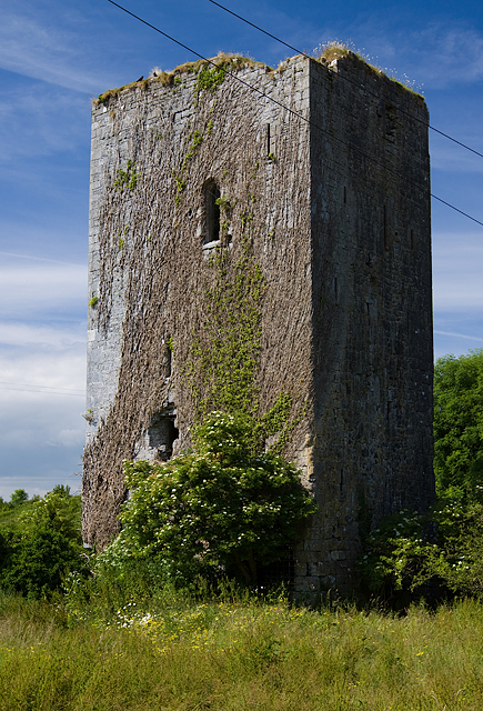 Ballygriffy Castle