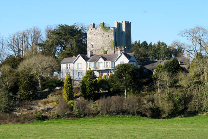 Ballyhooly Castle