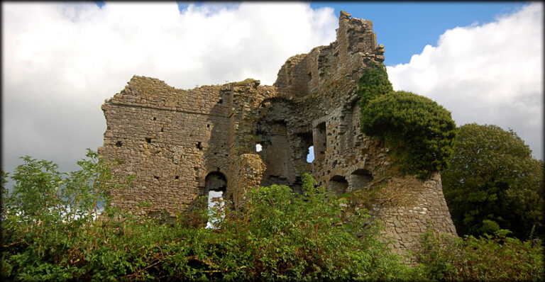 Carrickoris Castle
