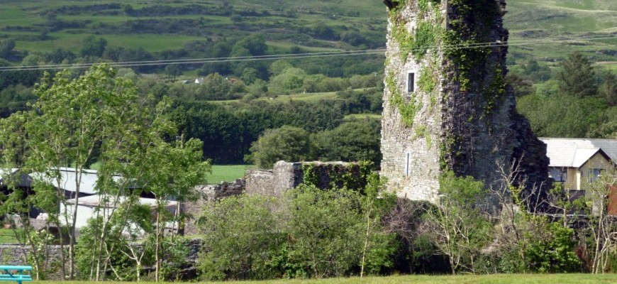 Carriganass Castle