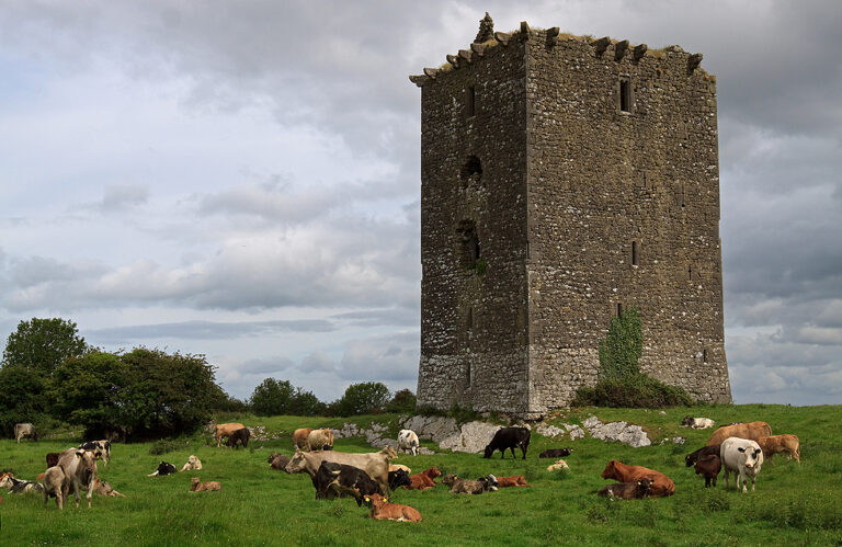 Clonburren Castle