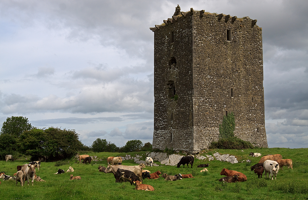 Clonburren Castle