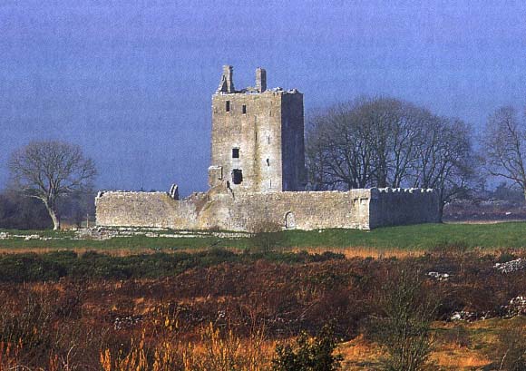 Fiddaun Castle