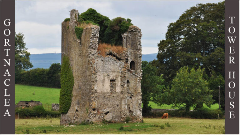 Gortnaclea Castle
