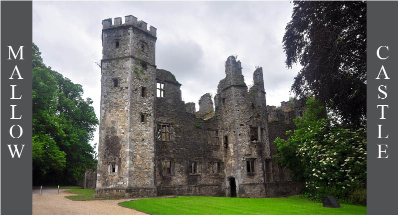 Mallow Castle