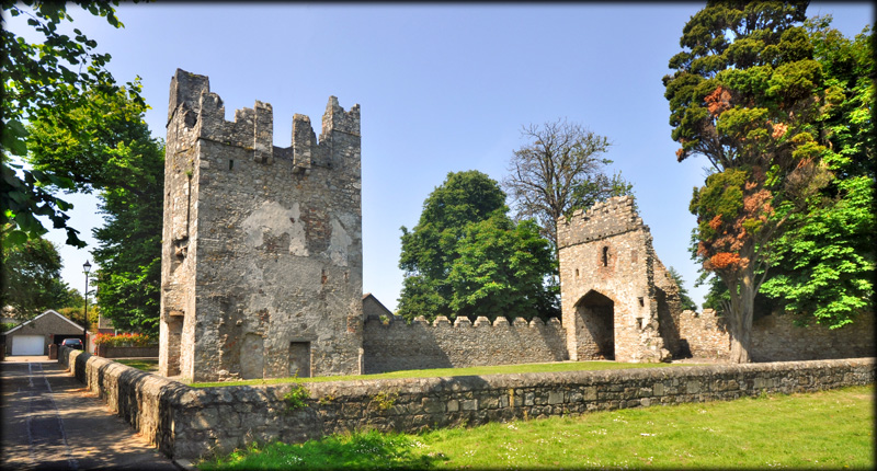 Monkstown Castle