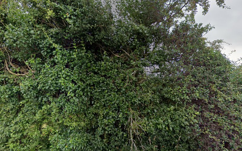 Labra Lark’s Castle Ringfort