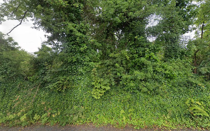 Ballyboyle Castle (Ruins)