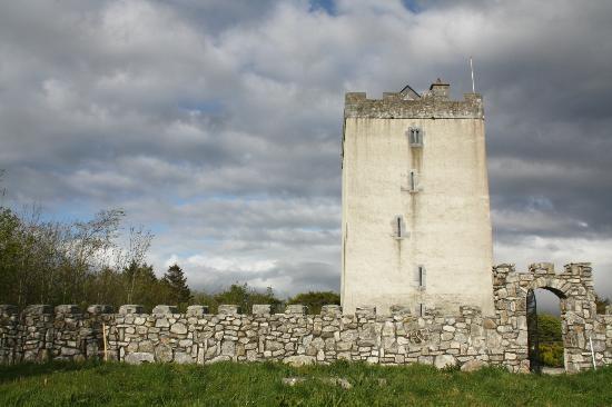 Turin Castle Ireland